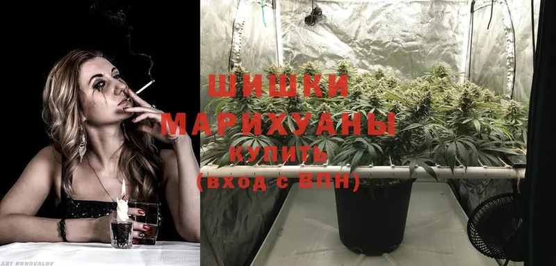 Каннабис SATIVA & INDICA  Власиха 